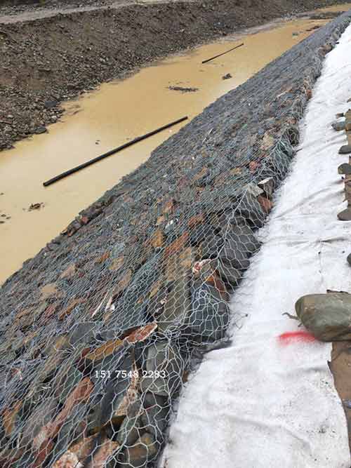 雙隔板雷諾護墊